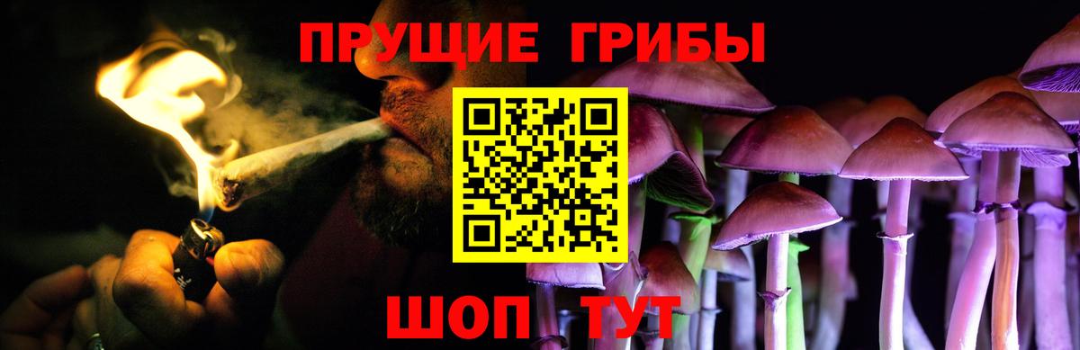 Псилоцибиновые грибы мицелий  Вход с VPN  Галлюциногенные грибы GOLDEN TEACHER  Биробиджан 